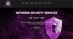 Desktop Screenshot of networksecurityservicesllc.com